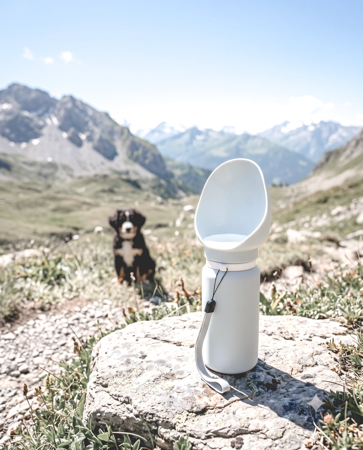 Gourde Portable Pliable pour chien